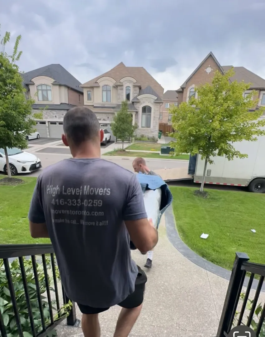 Maple Moving Services